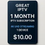 1 Month IPTV Subscription with 15,000+ Channels & 100,000+ VOD in 4K UHD
